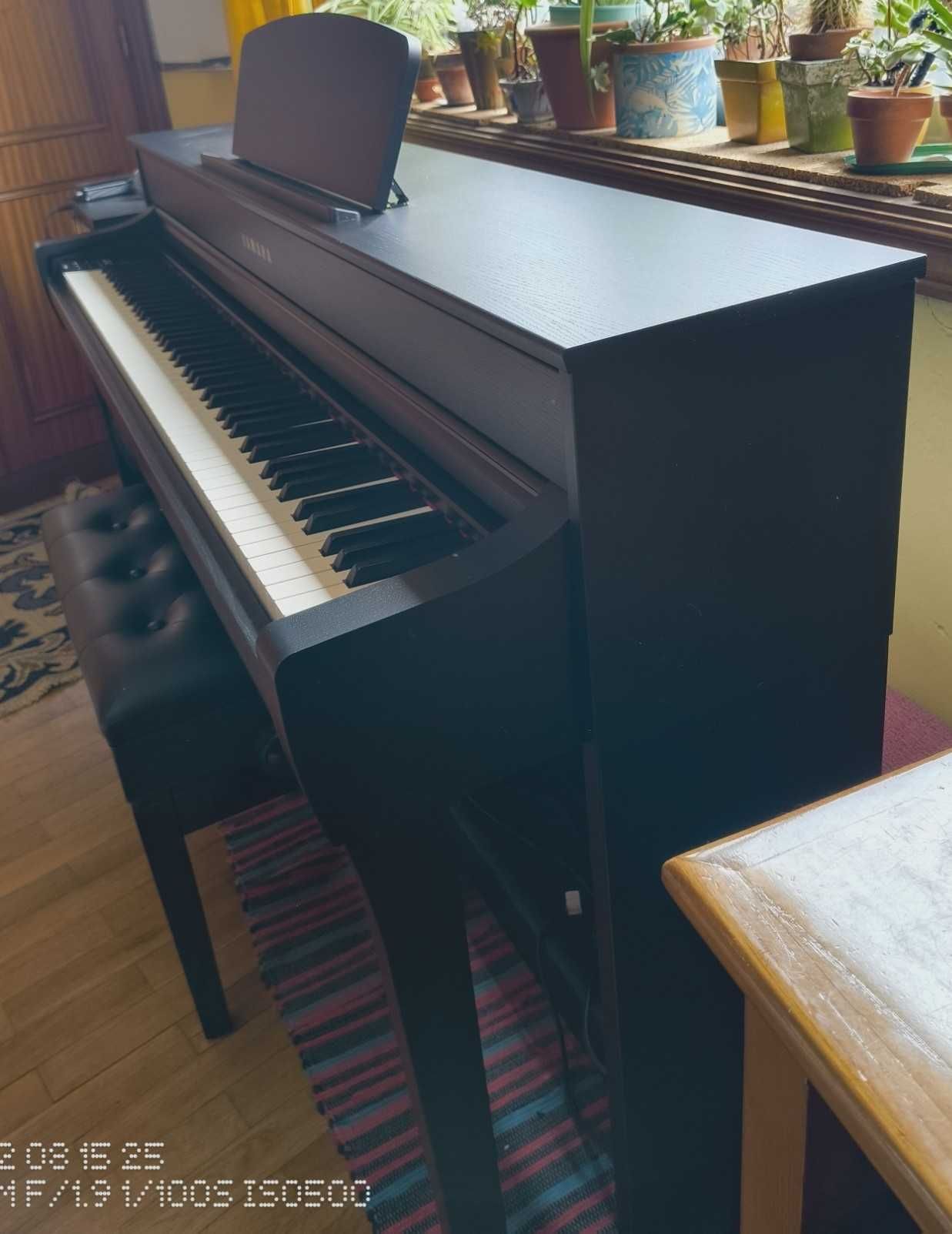 Piano Digital Yamaha Clavinola CLP-735 B