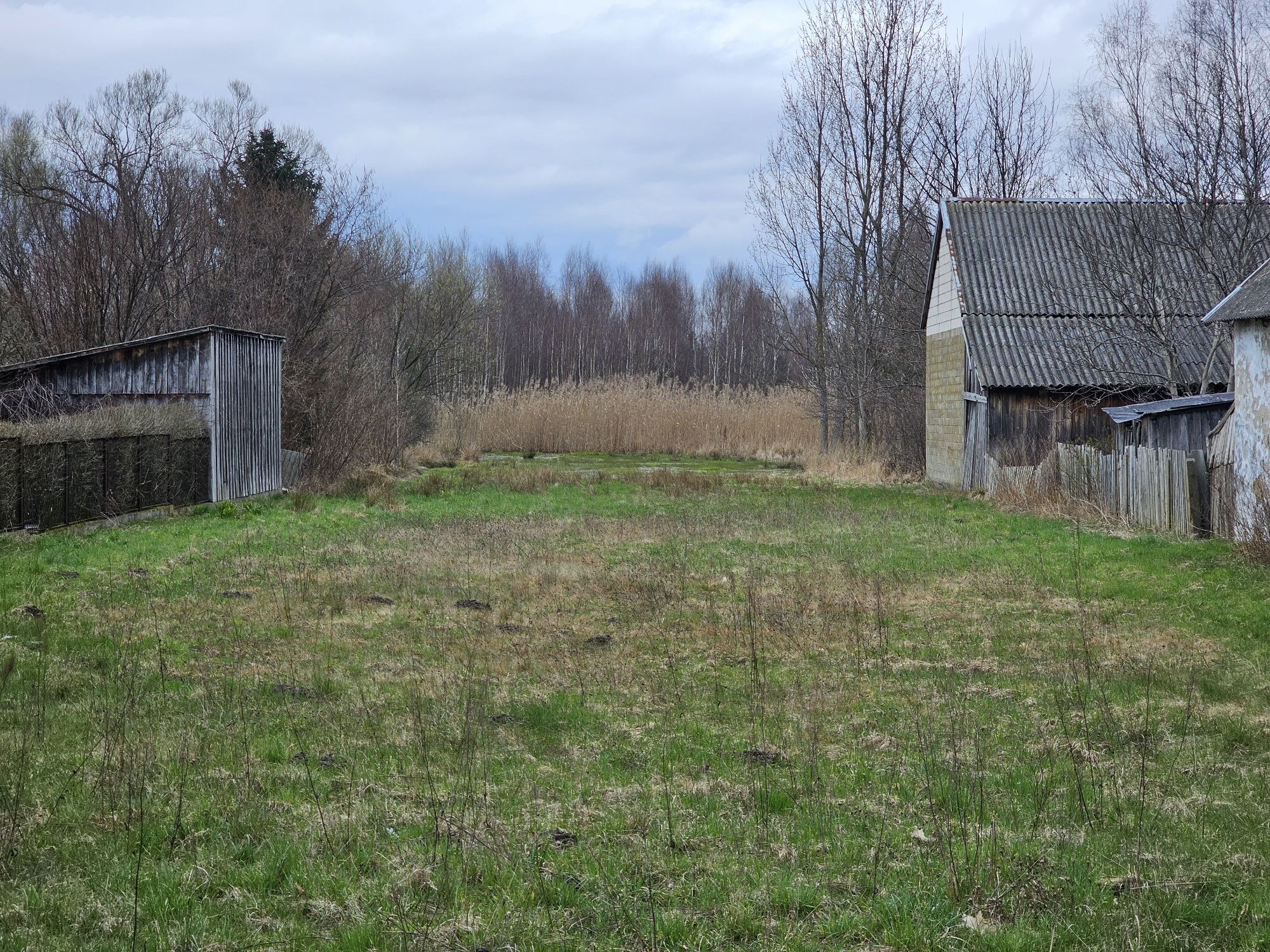 Działka budowlana 0.76ha Krzesławice k. Przysuchy