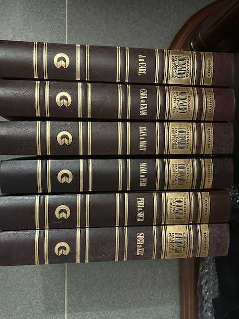 Dicionário de Língua Portuguesa - 6 Volumes