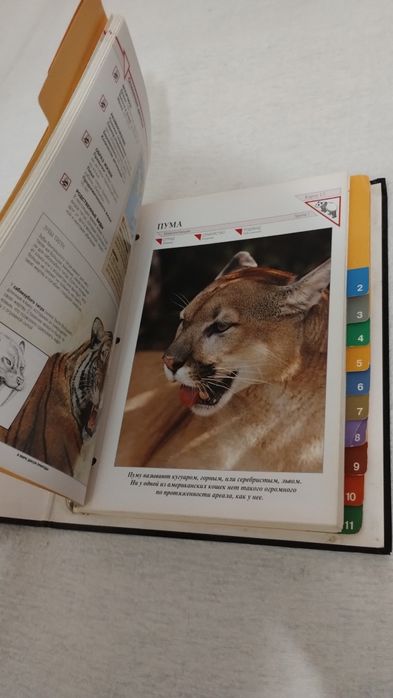 Энциклопедии про природу