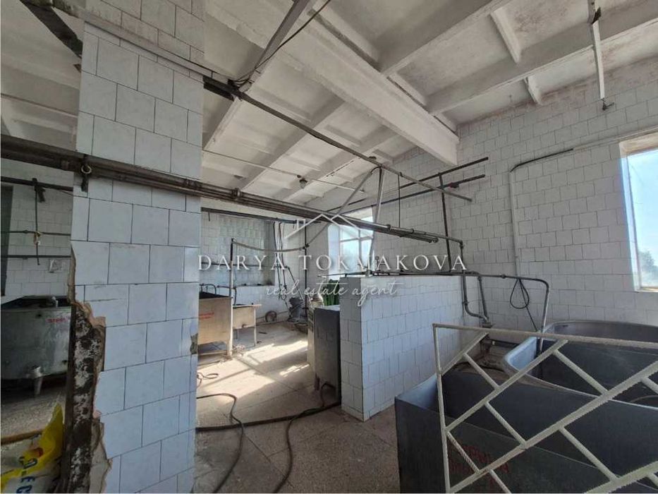 Продаж Піщанський молокозавод Без%