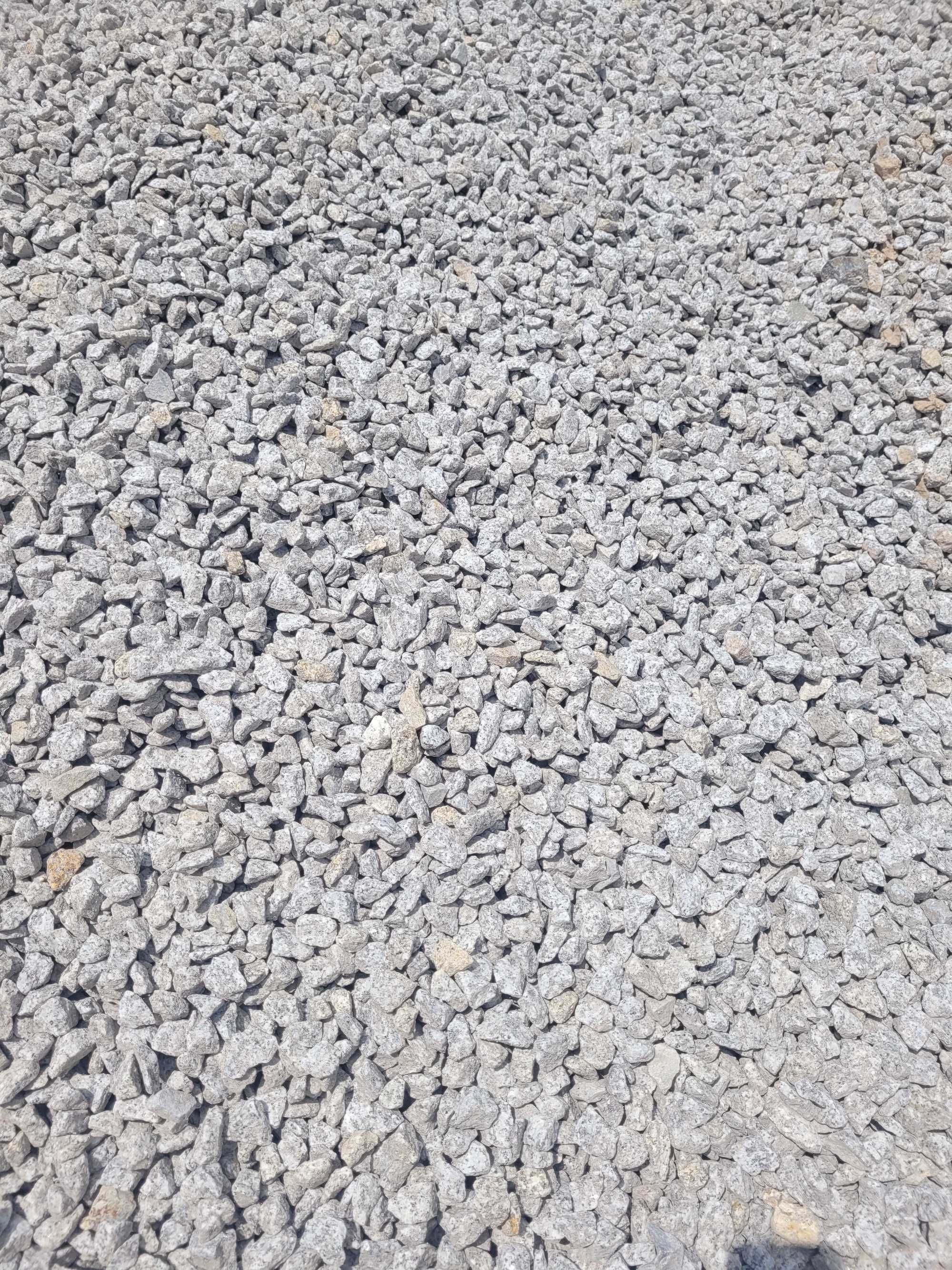 Grys granitowy, dalmatyńczyk