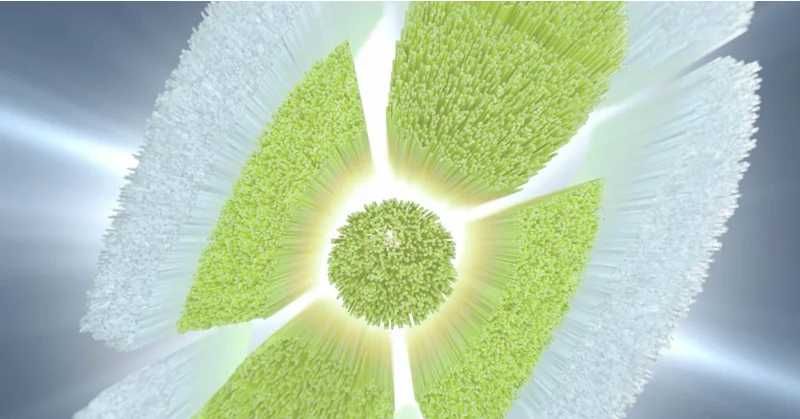 Насадка тип W2 Optimal White для щітки Philips Sonicare 100% оригінал