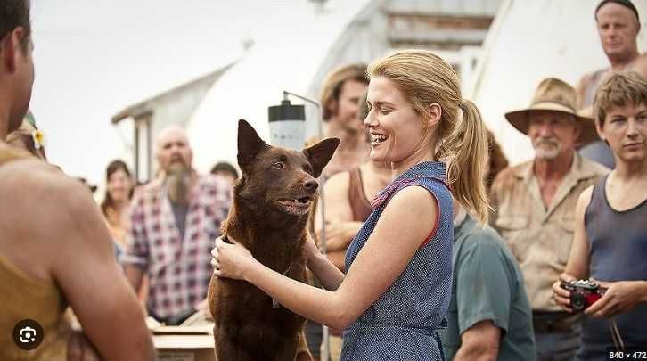 RED DOG - Uma História de Lealdade (Josh Lucas/Rachael Taylor)