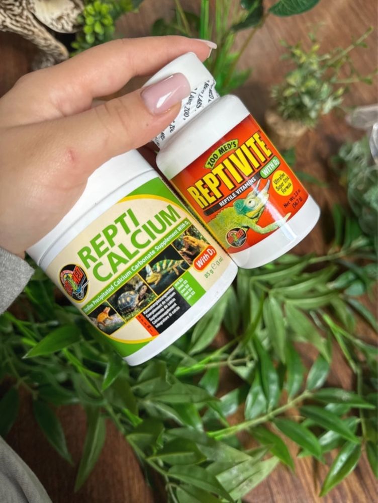 Zestaw akcesoriów do terrarium torf liście gałązki termometr