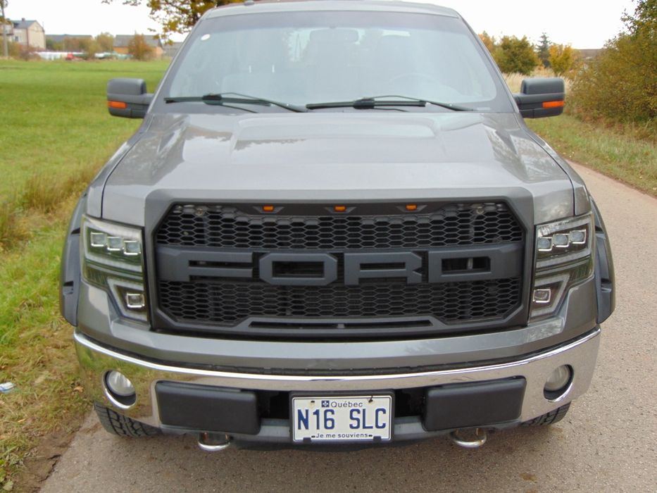 Ford F-150 5.0 V8