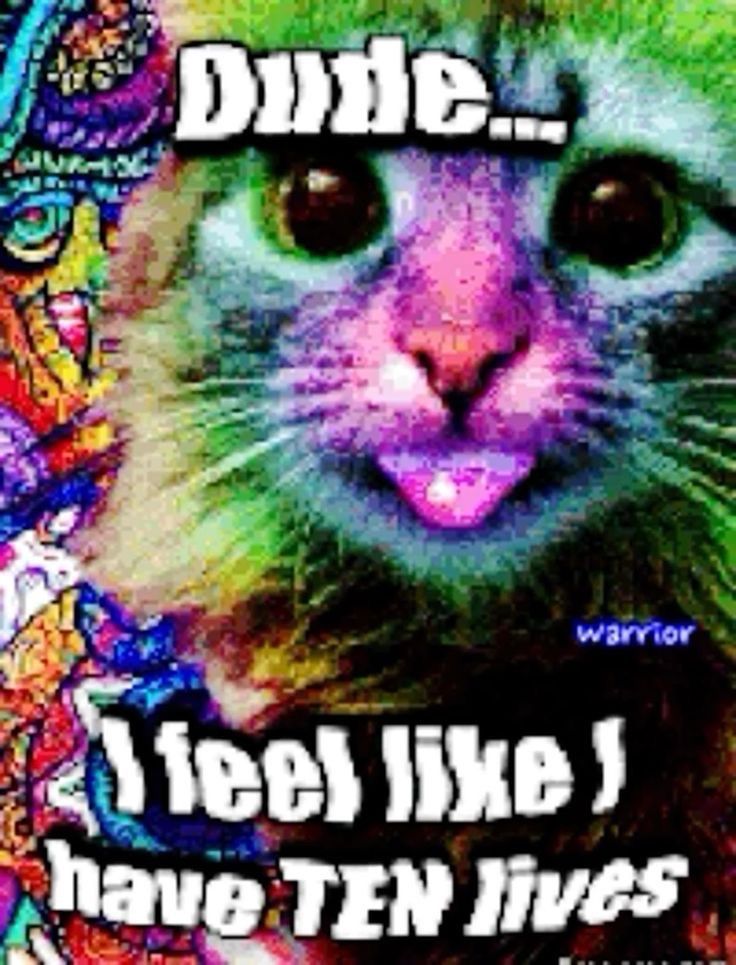 худи realtree/хаки