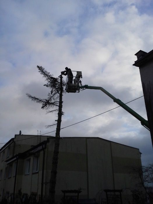 TANIO!!wycinka drzew,koszenie,pielegnacja zieleniZrebkowanie gałęzi