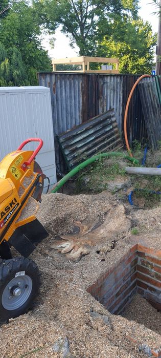 Wycinka drzew Frezowanie pni wywóz gałęzi zrębka