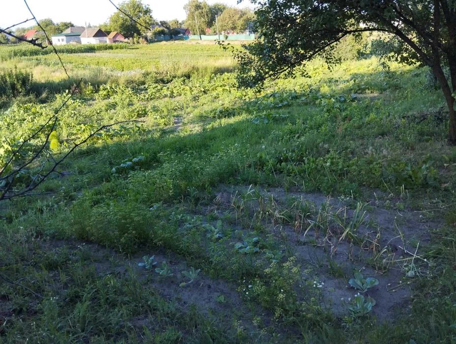 Продам будинок Черкаси Білозір'я №284