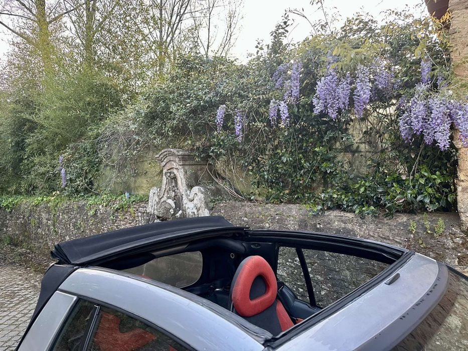 Smart for two cabrio DCI automático