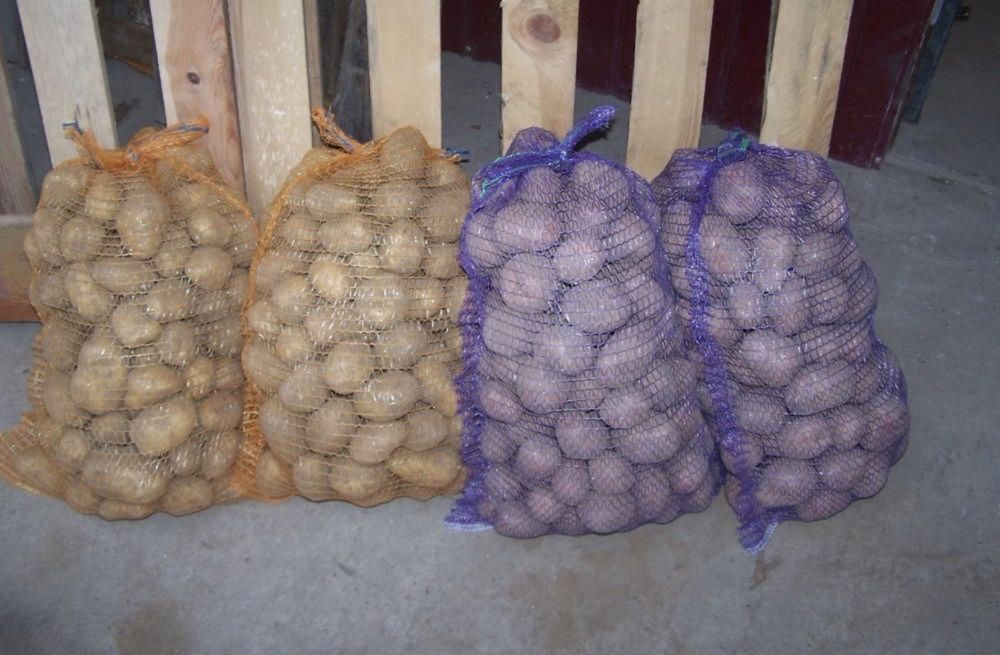 Sprzedam ziemniaki jadalne wielkosci Sadzeniaki - odmiana Irmina