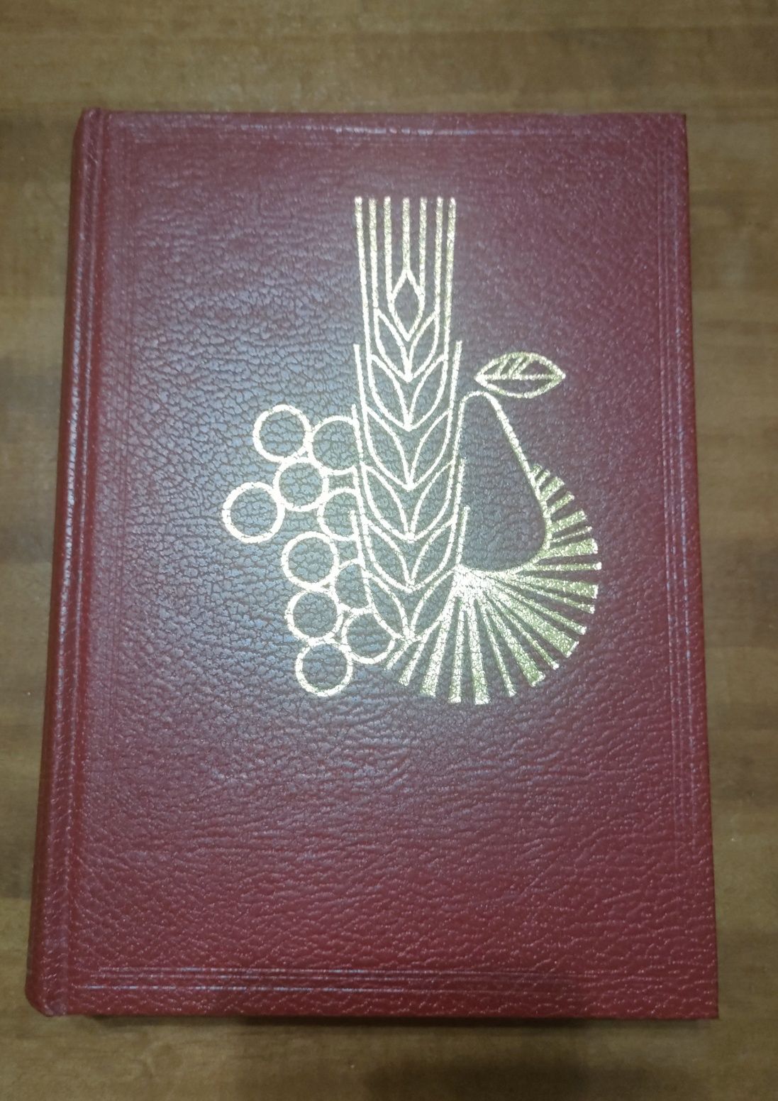 Livro A Saúde Pelos Alimentos de Ernest Schneider, médico