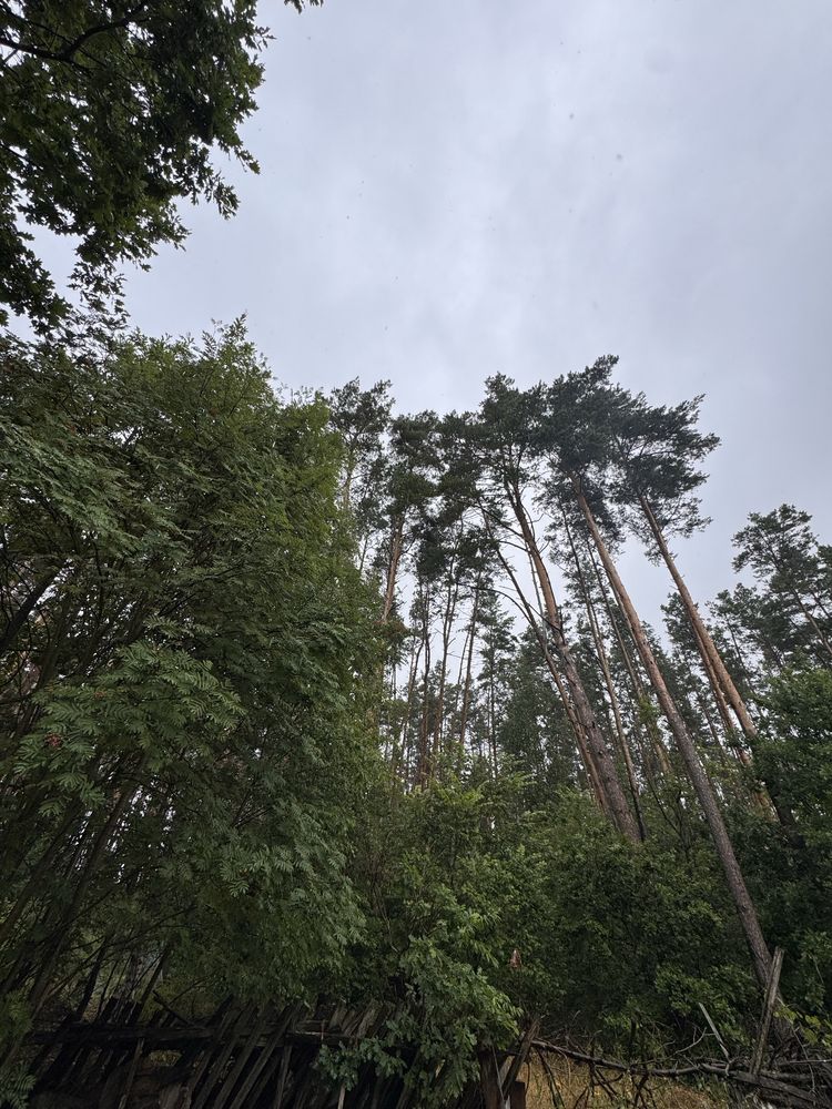 Дачний будинок в Пряжеві
