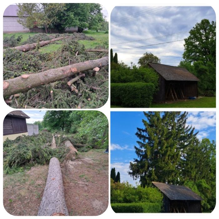 Wycinka drzew, formowanie żywopłotów, prace ogrodowe