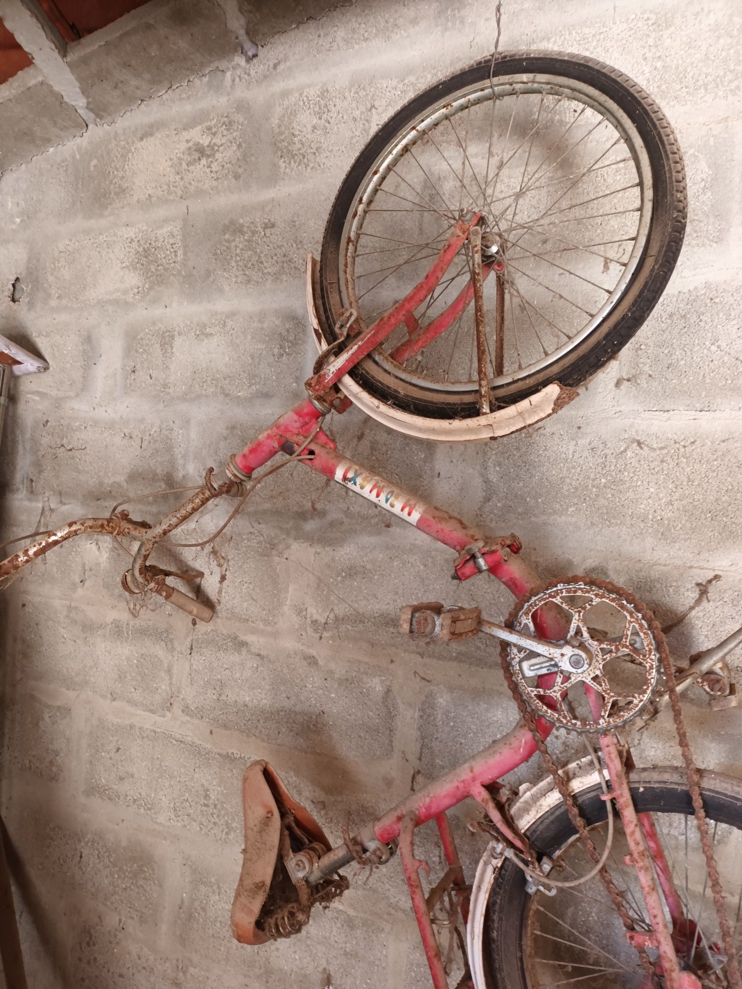 Bicicleta Orbita