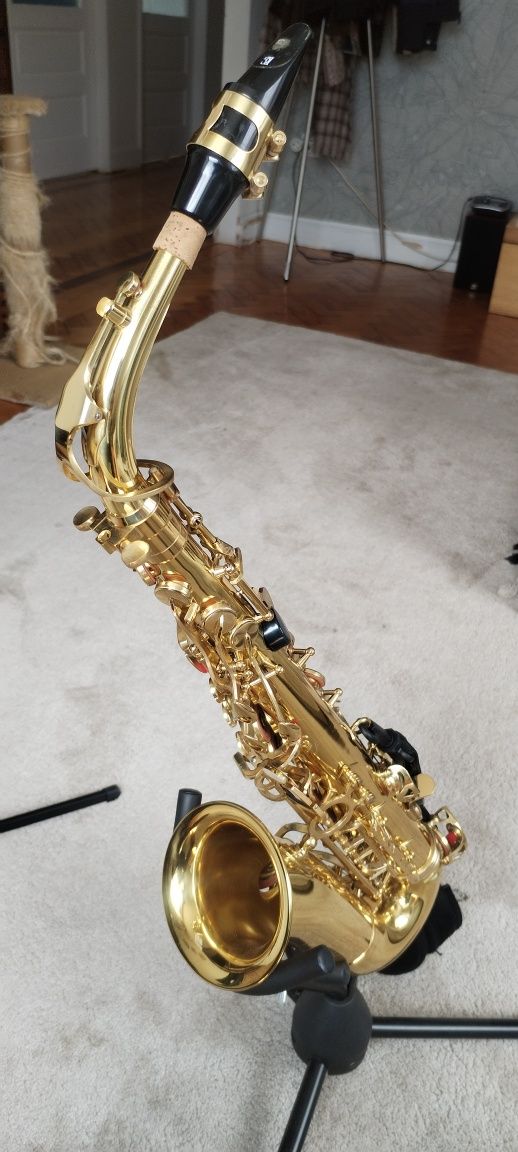 Saxofone Alto Lechnical