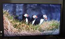 TV SONY XR55X90JAEP (ecrã 55”)