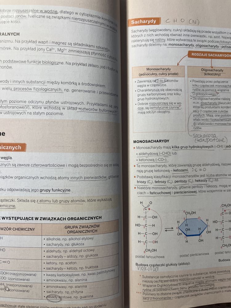 vademecum nowa era biologia rozszerzona