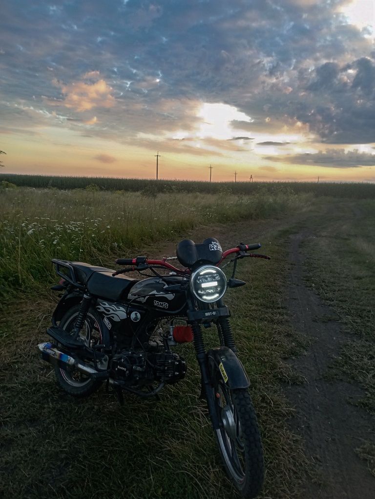 Альфа Мустанг МТ 125-2