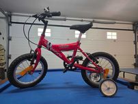 Bicicleta de Criança WHEELWORKS Teddy