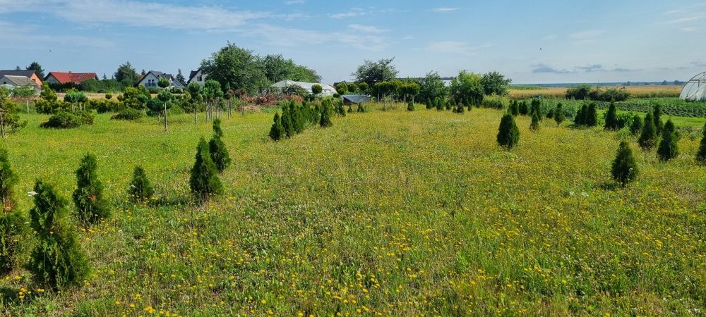 Sprzedam działkę budowlaną o powierzchni 19 arów
