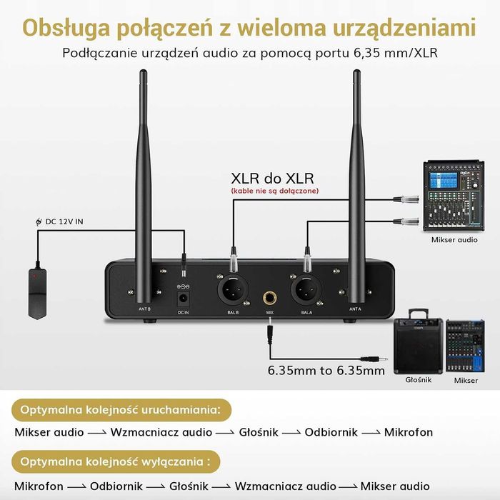 Zestaw mikrofonów bezprzewodowych Tonor TW350 Karaoke