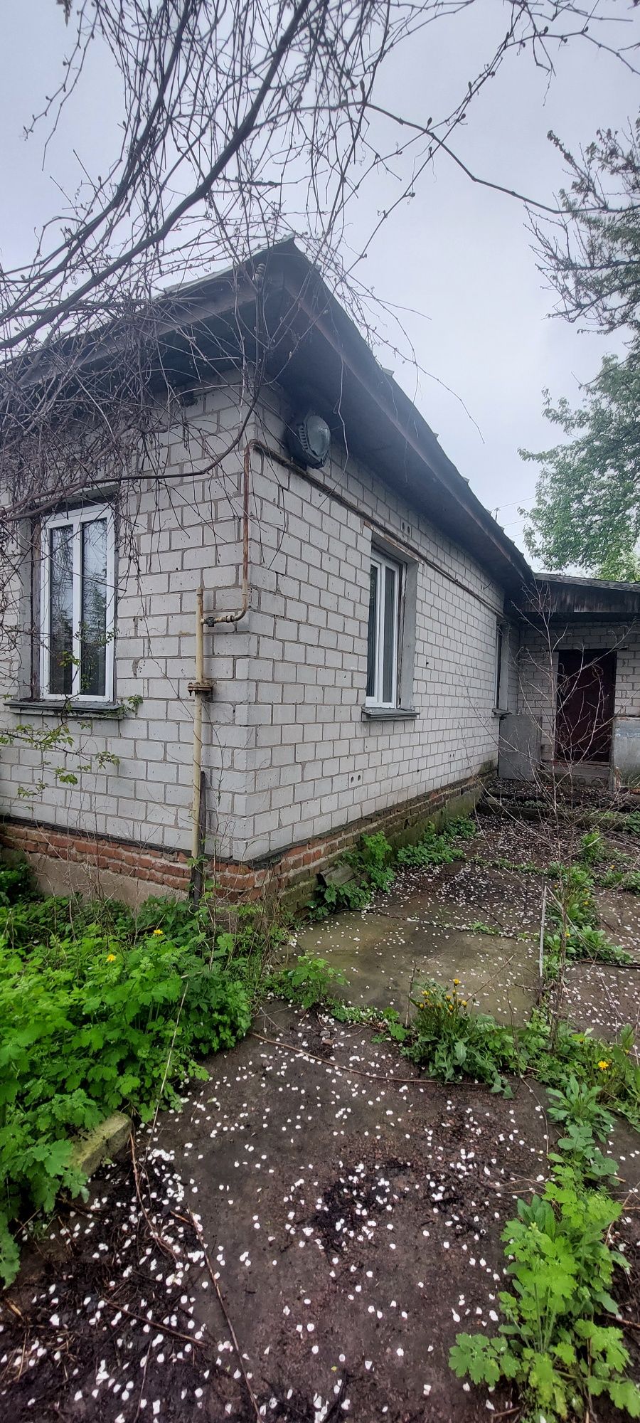 Продам будинок,  Новоселівка !