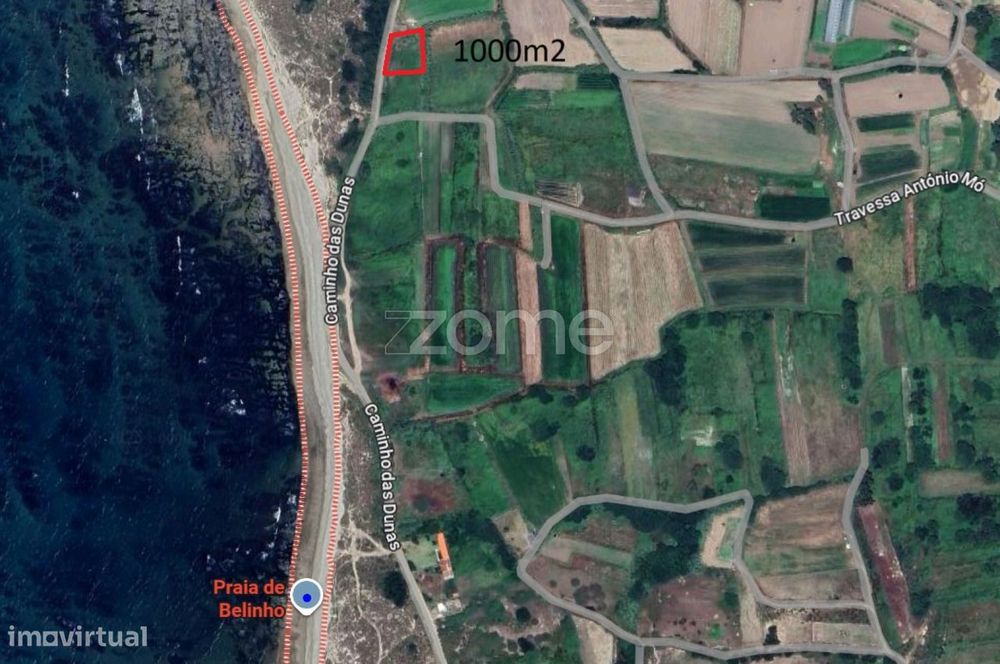 Terreno Agrícola de frente para o Mar