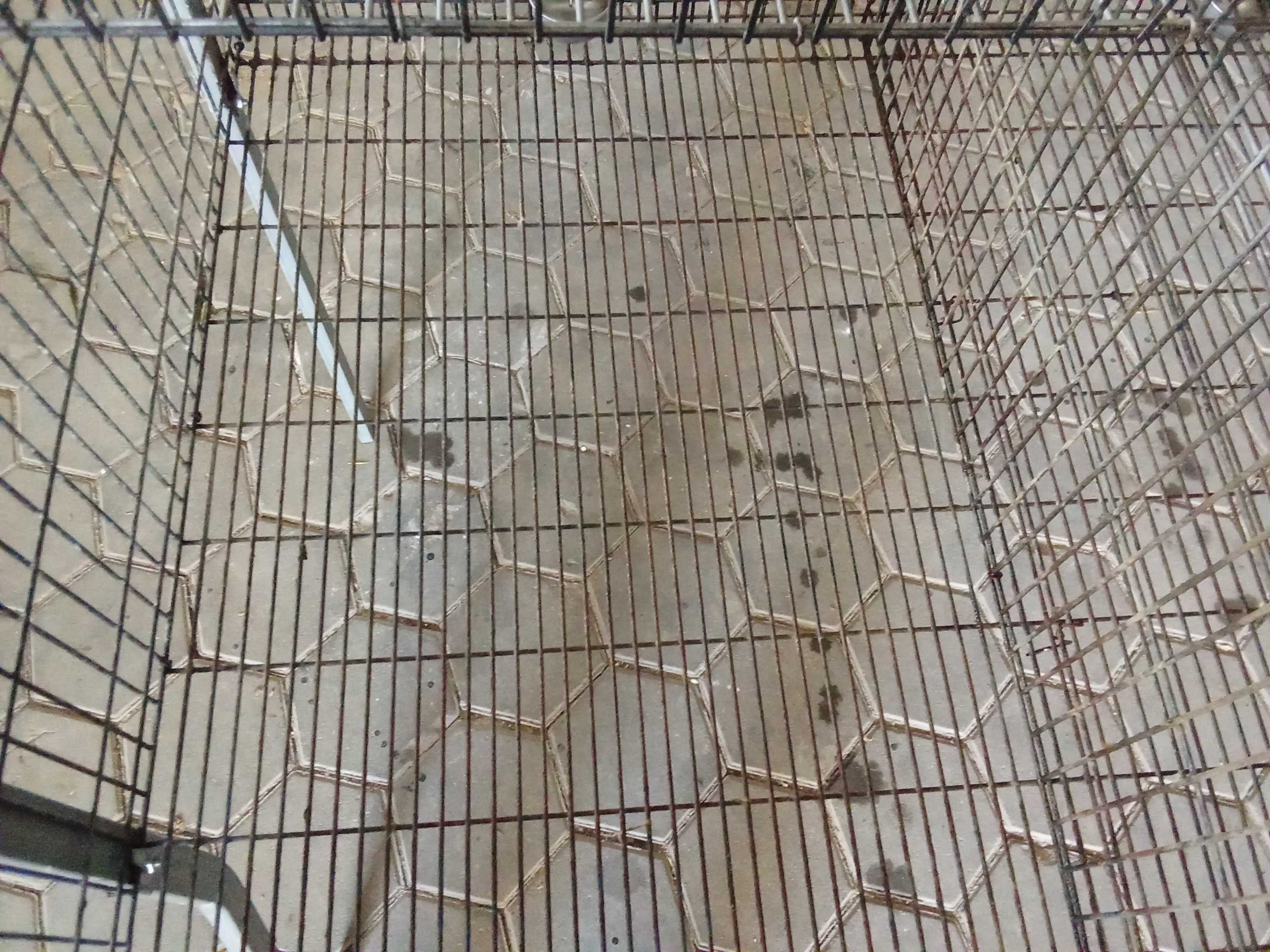Jaulas de coelhos de 3 ou 4 divisões