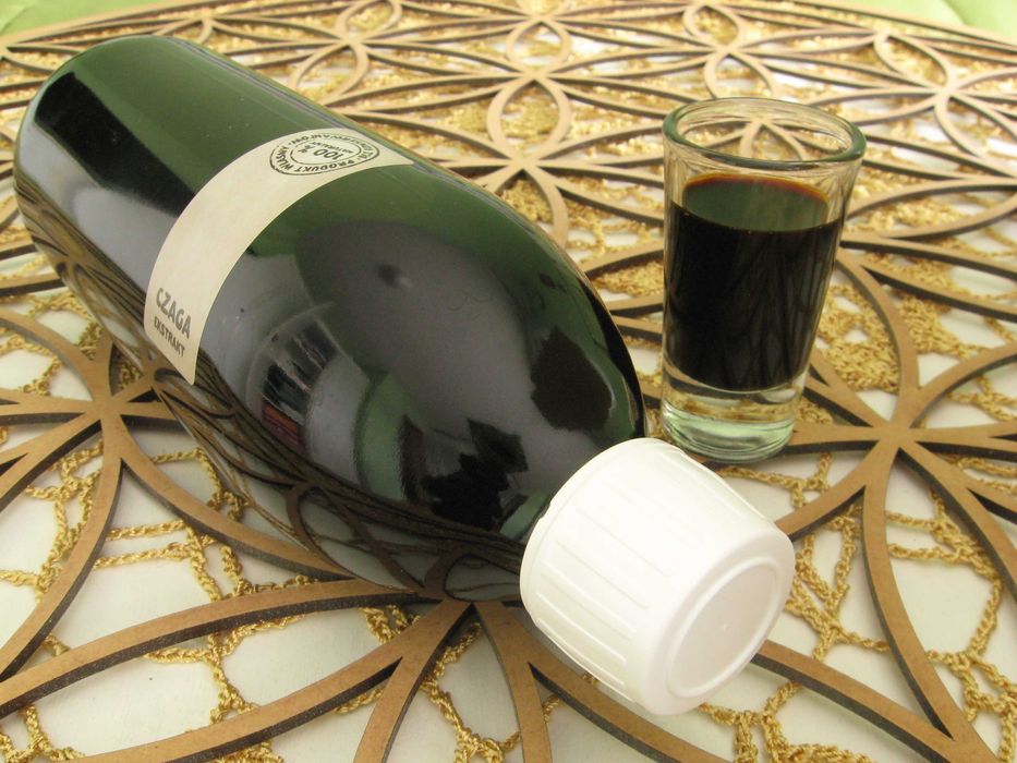 Grzyb Błyskoporek podkorowy Chaga Czaga 550ml podwójna ekstrakcja