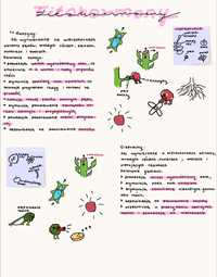 Notatki, biologia- fitohormony