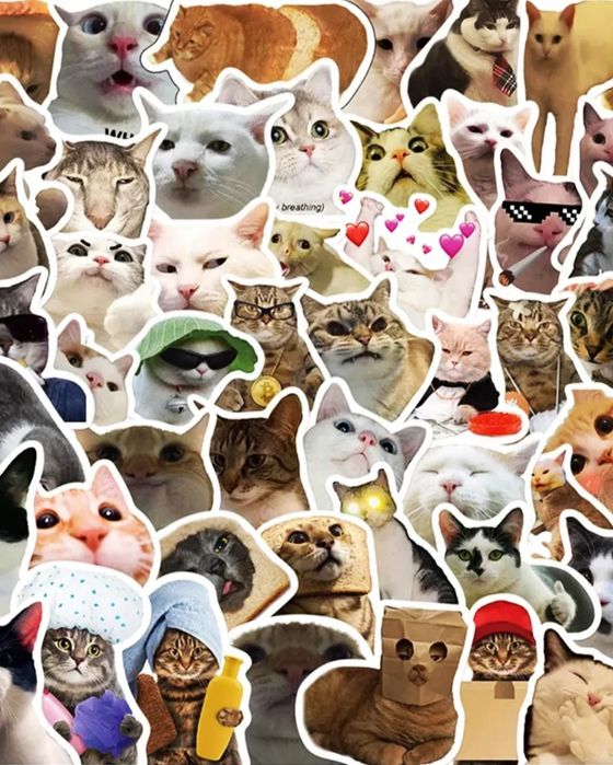 Наліпки котики мемчики