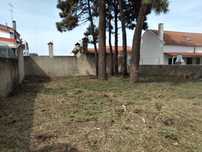 Limpeza de terrenos cortes e podas de árvores.