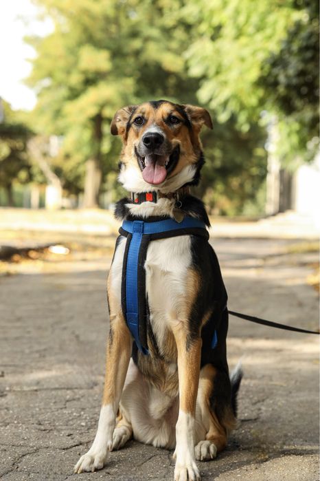 Шукаю люблячу родину для хлопчика