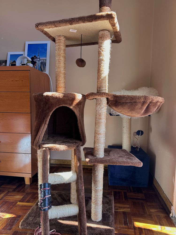 Árvore Para Gatos