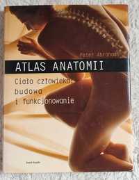 Atlas Anatomii Peter Abrahams