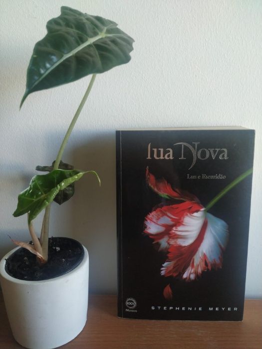 Livro: Lua Nova - Stephenie Meyer