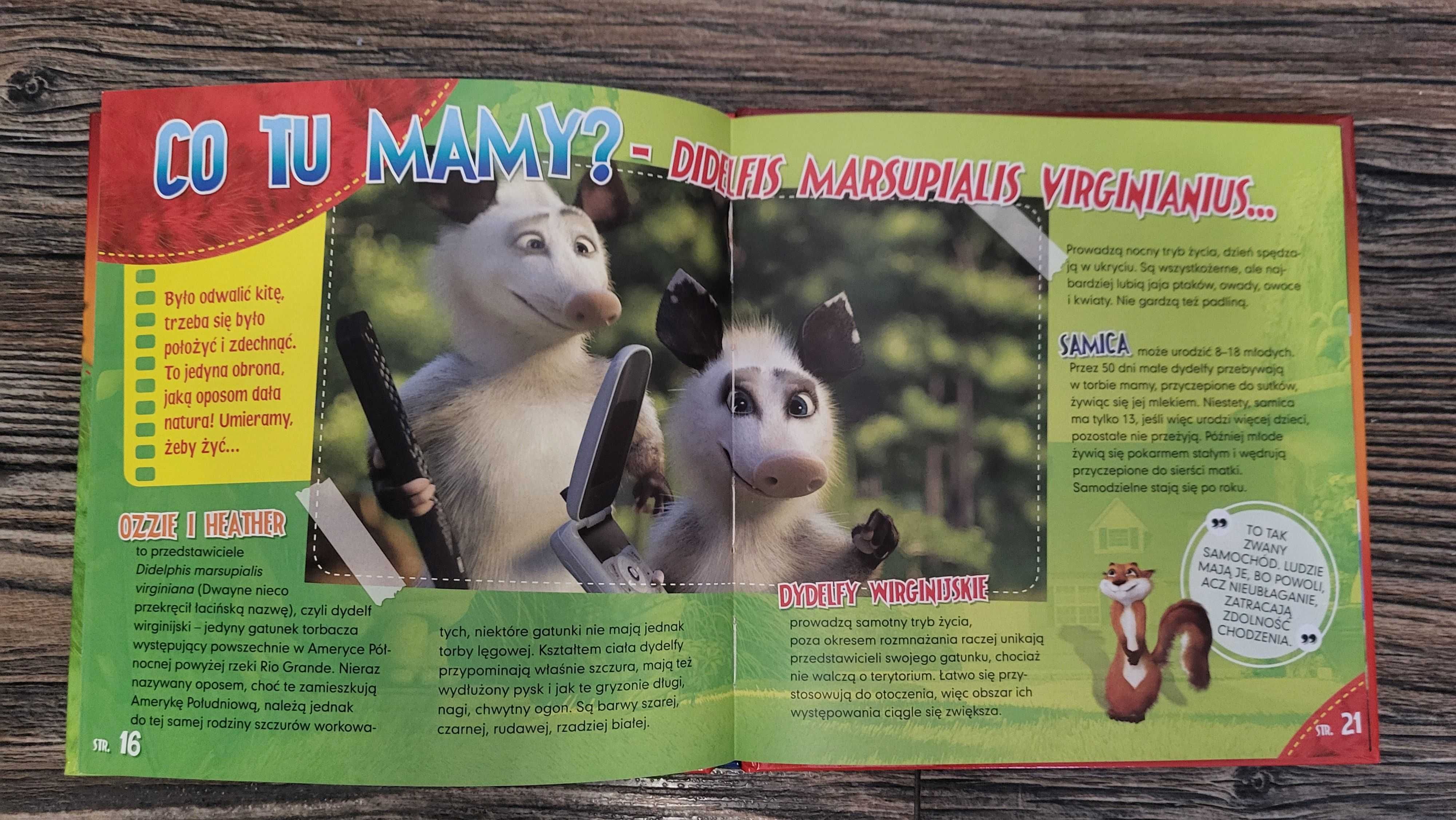 Skok przez płot bajka DVD Kultowe animacje DreamWorks
