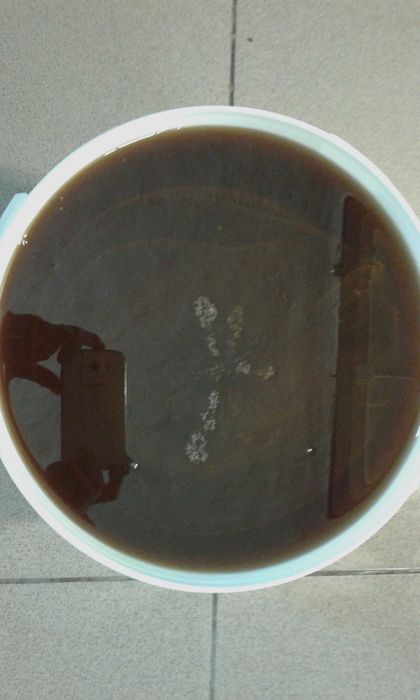 Miód leśny, lipowy  we wiaderkach. Prawdziwy, polski z mojej pasieki.