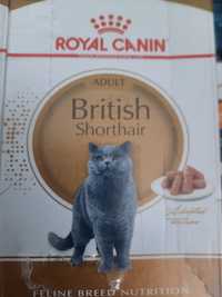 Royal Canin British Shorthair 48x85g