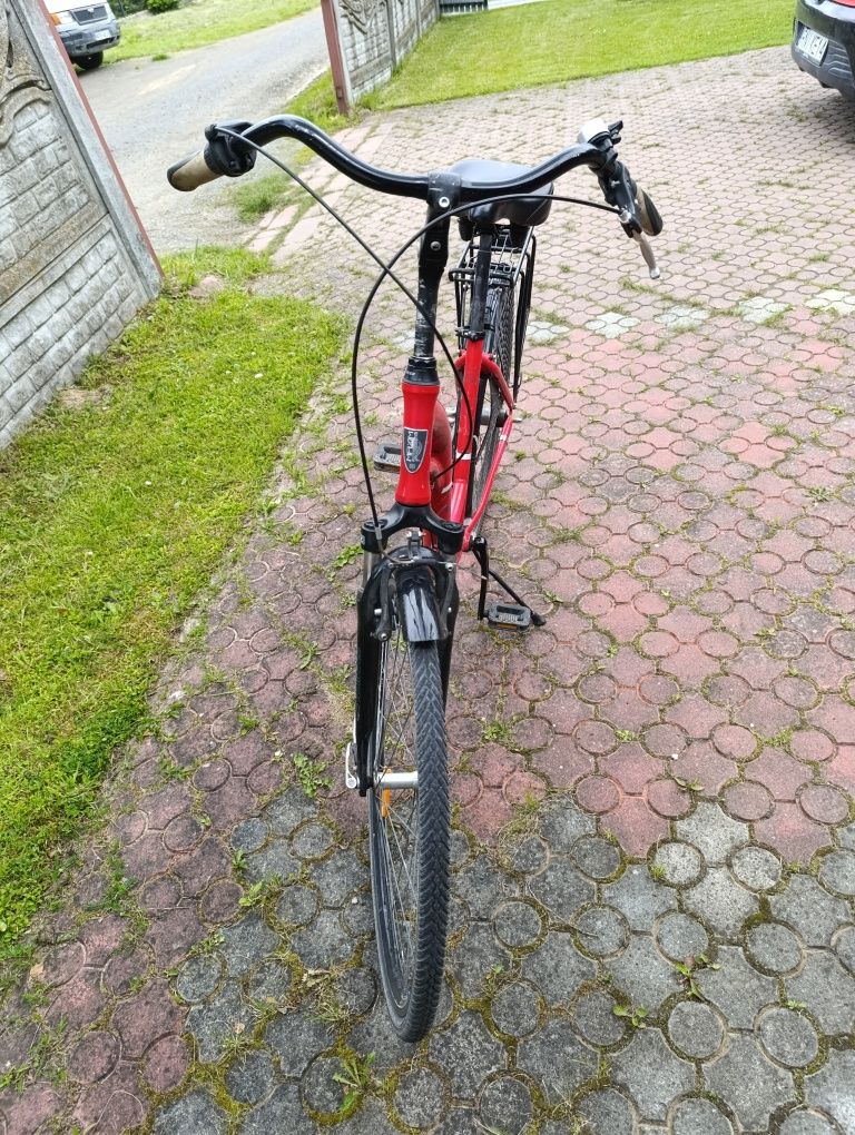 Rower damski Maxim