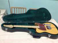 Hohner Professional TE Prinz ( MadCat) Telecaster