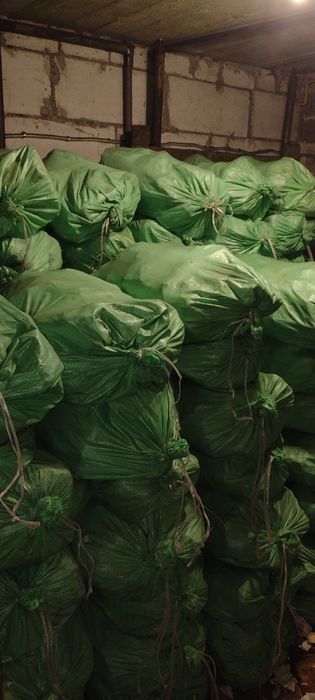 Węgiel workowany kostka