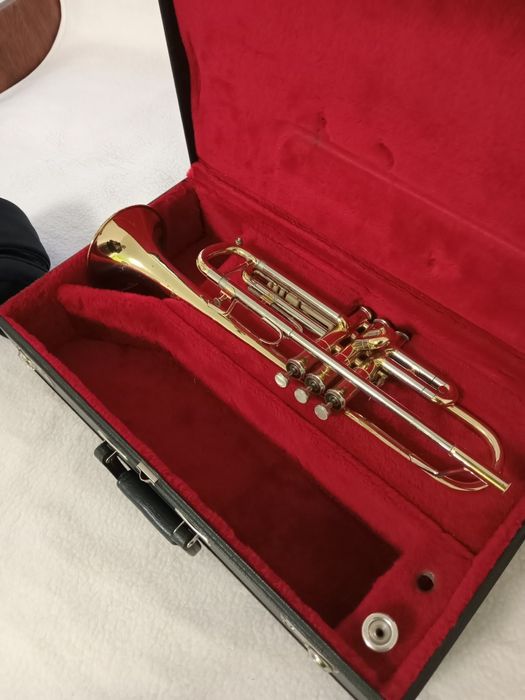 Труба Ґетцен капрі