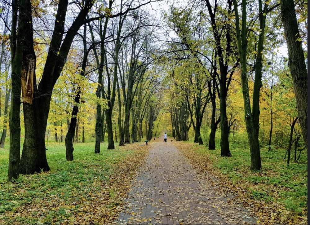 Здам будинок на літо-осінь. Власник