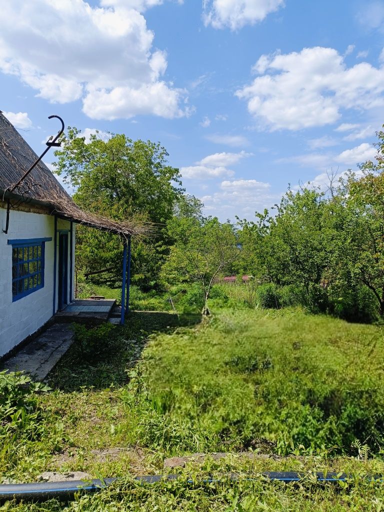 Срочно! Продам дачу Сухачовка ( Диевка)!
