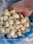 Продам чеснок очищенный