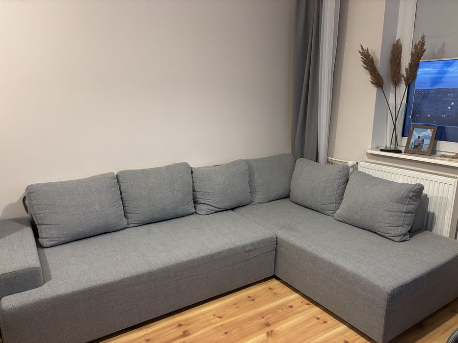 Kanapa rogówka szara