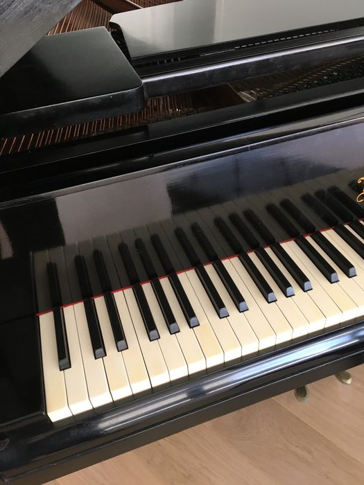 Piano 1/4 cauda Bosendorfer